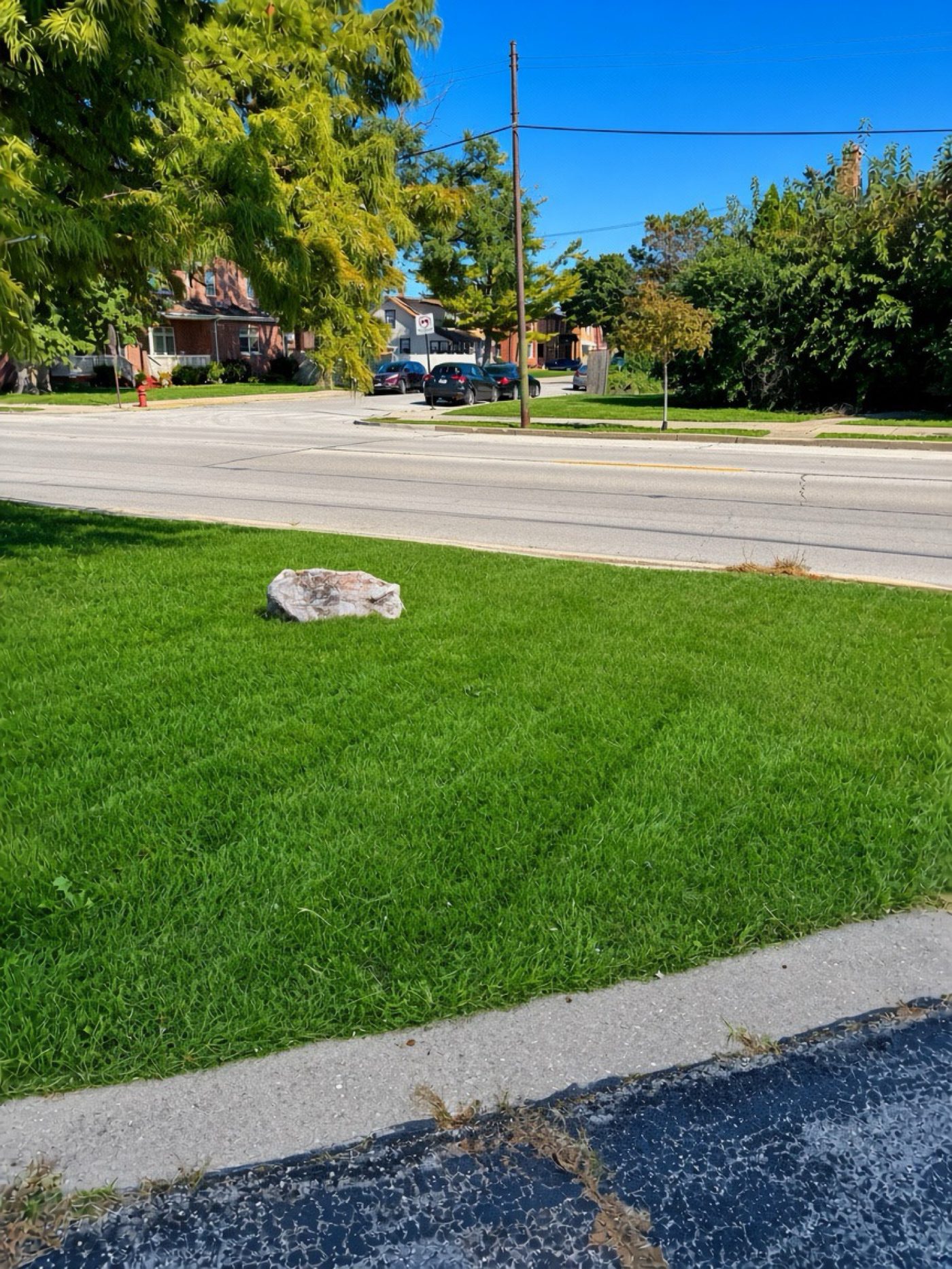 Clean parkway lawn cut along the curb