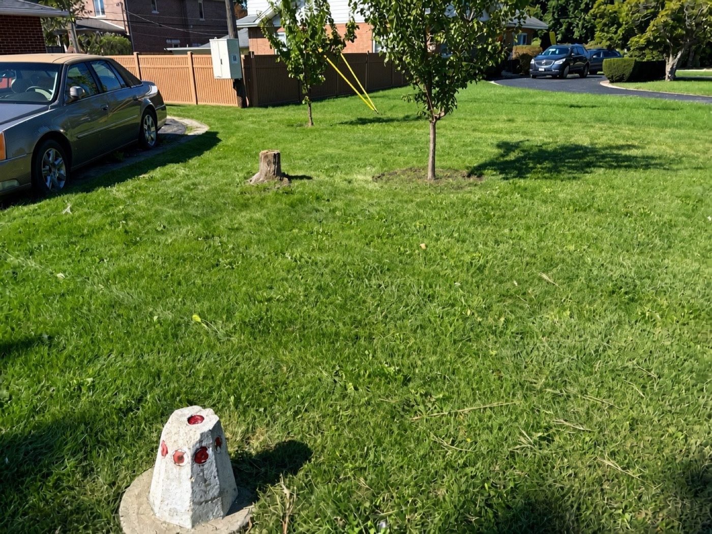 Full front yard after mowing